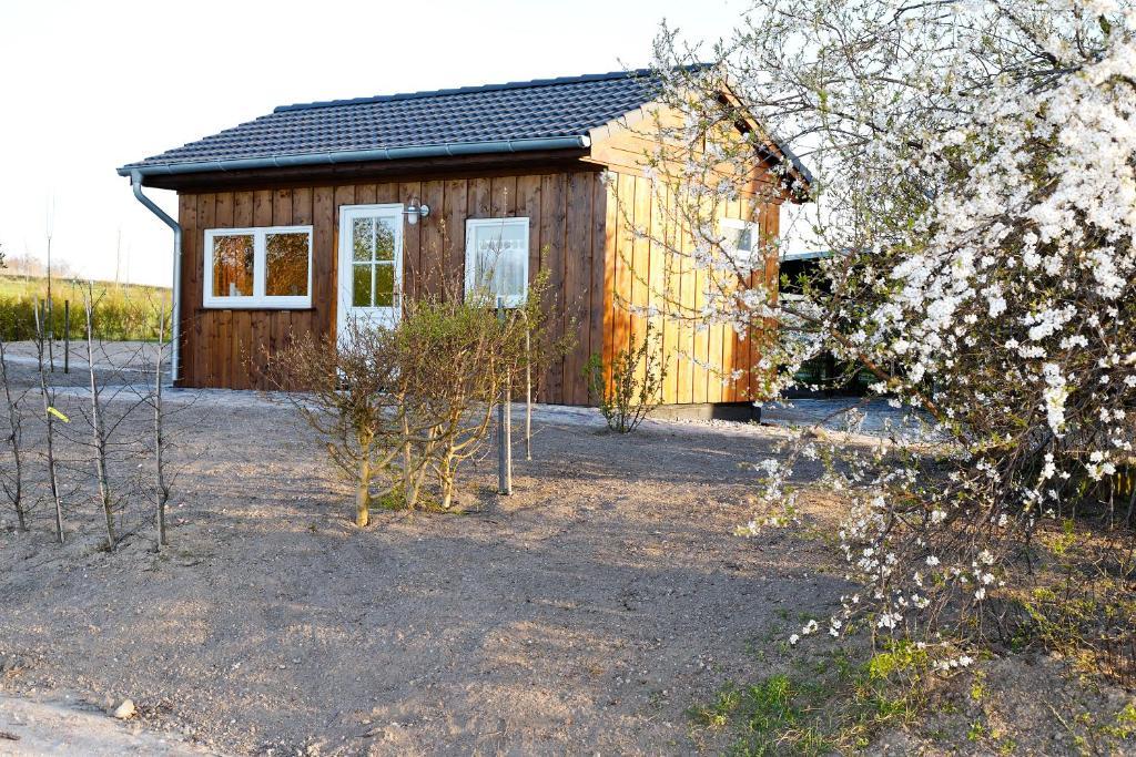 Apartamento Vogelhaus Gobbin Lancken-Granitz Exterior foto